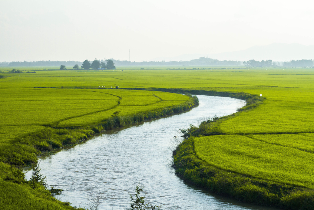 A River and Field